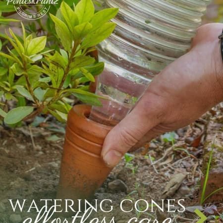 Plant Watering Cones detail view - Ponieskrantz handmade crafts