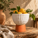 Karoo Carved Pedestal Vase Lemons
