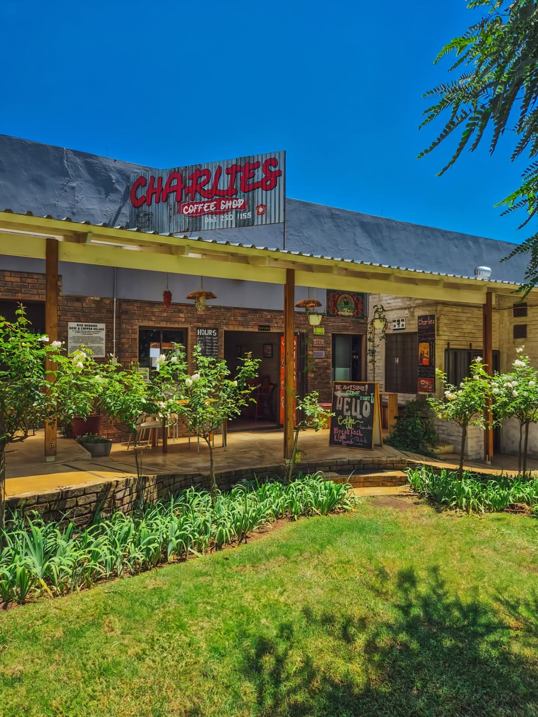Charlie's Coffee Shop exterior with roses and a garden in Lydenburg